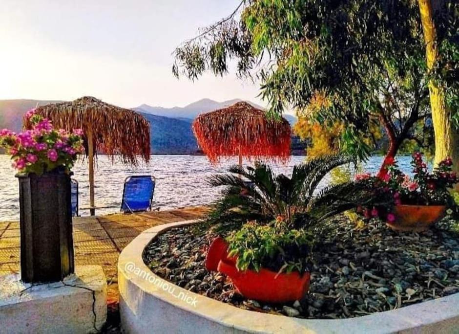 Ferienwohnung Seascape - Itea -Delphi Exterior foto